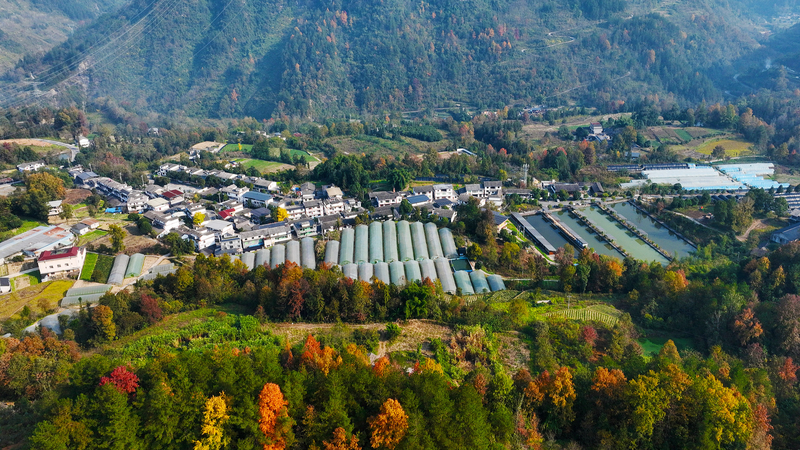 Trụ Cột Công Nghiệp Làm Sống Lại Nông Thôn Trung Quốc