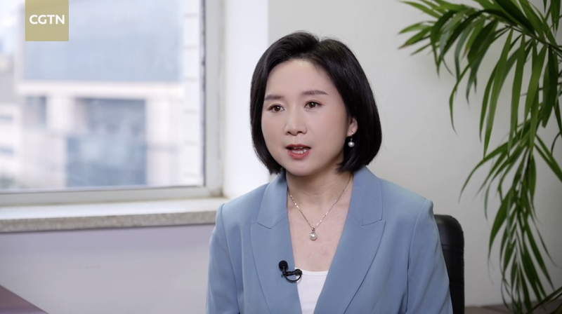 Trung Quốc Nhắm Đến Đầu Tư Hai Chiều Lớn Hơn Vào Các Nước Đối Tác Vành Đai và Con Đường video poster