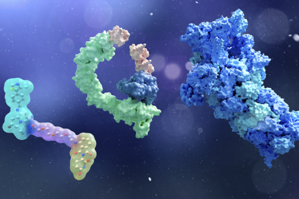 Các Nhà Khoa Học Trung Quốc Tiên Phong SupTACs trong Sự Phân Hủy Protein Chính Xác