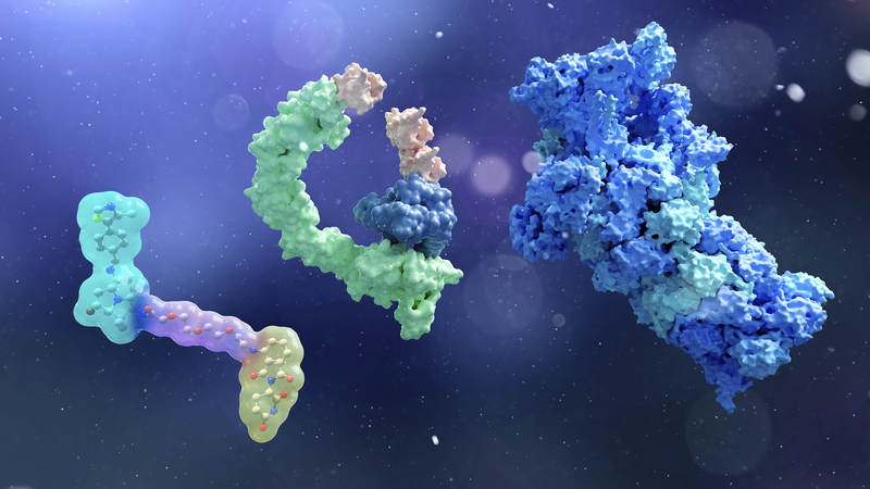 IF9B25T17PEN6TRFDREM - Thế Giới Trong Tầm Tay Các Nhà Khoa Học Trung Quốc Tiên Phong SupTACs trong Sự Phân Hủy Protein Chính Xác