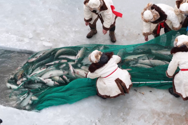 Lễ hội Câu cá Mùa đông tại Hồ Bosten: Truyền thống Gặp Gỡ Niềm Vui Tuyết Trắng video poster