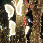 VBQ6NVYCH654W87HXLBV - Thế Giới Trong Tầm Tay Vườn Tuyết Cổ Tích Miễn Phí Mở Cửa tại Công Viên Shougang Bắc Kinh video poster