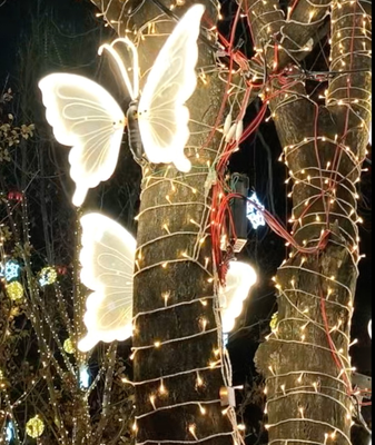 Vườn Tuyết Cổ Tích Miễn Phí Mở Cửa tại Công Viên Shougang Bắc Kinh video poster