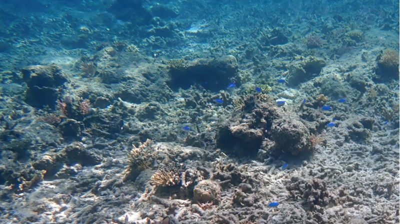 Đại Dương Đạt Nhiệt Độ Kỷ Lục Năm 2025, Gây Thời Tiết Cực Đoan