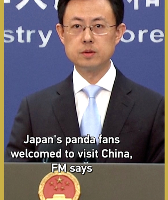 Trung Quốc Mời Người Hâm Mộ Gấu Trúc Nhật Bản Thăm Khi Ngôi Sao Vườn Thú Ueno Trở Về video poster