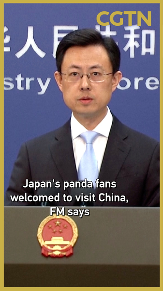 XT17PO3F2D19ZVWW2ROI - Thế Giới Trong Tầm Tay Trung Quốc Mời Người Hâm Mộ Gấu Trúc Nhật Bản Thăm Khi Ngôi Sao Vườn Thú Ueno Trở Về video poster