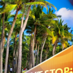 Đón Ánh Nắng Mùa Đông tại Hành Lang Giấc Mơ Cây Dừa Sanya video poster